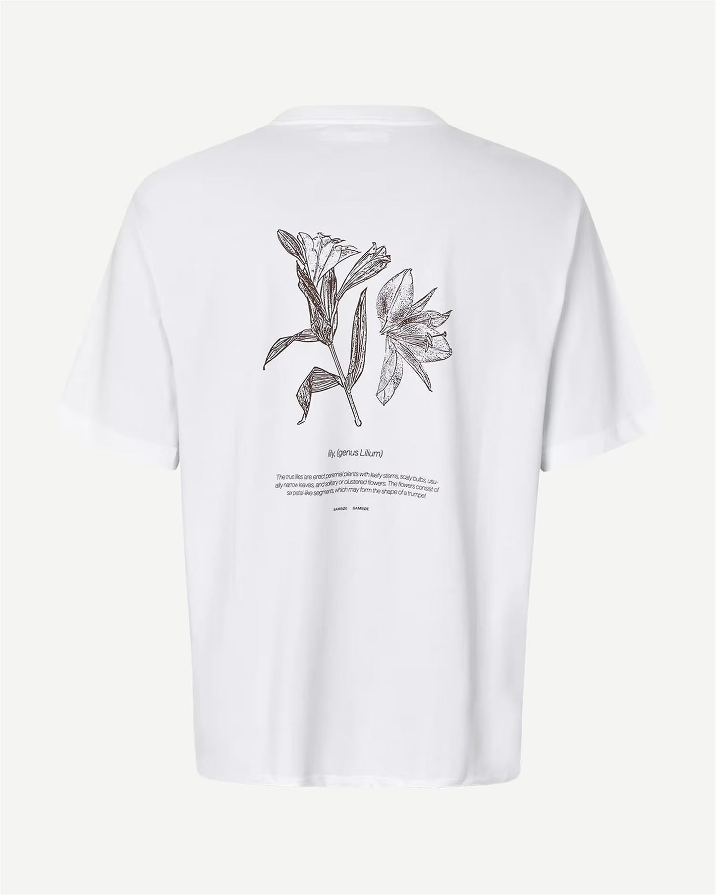SALILIUM T-SHIRT 11725
