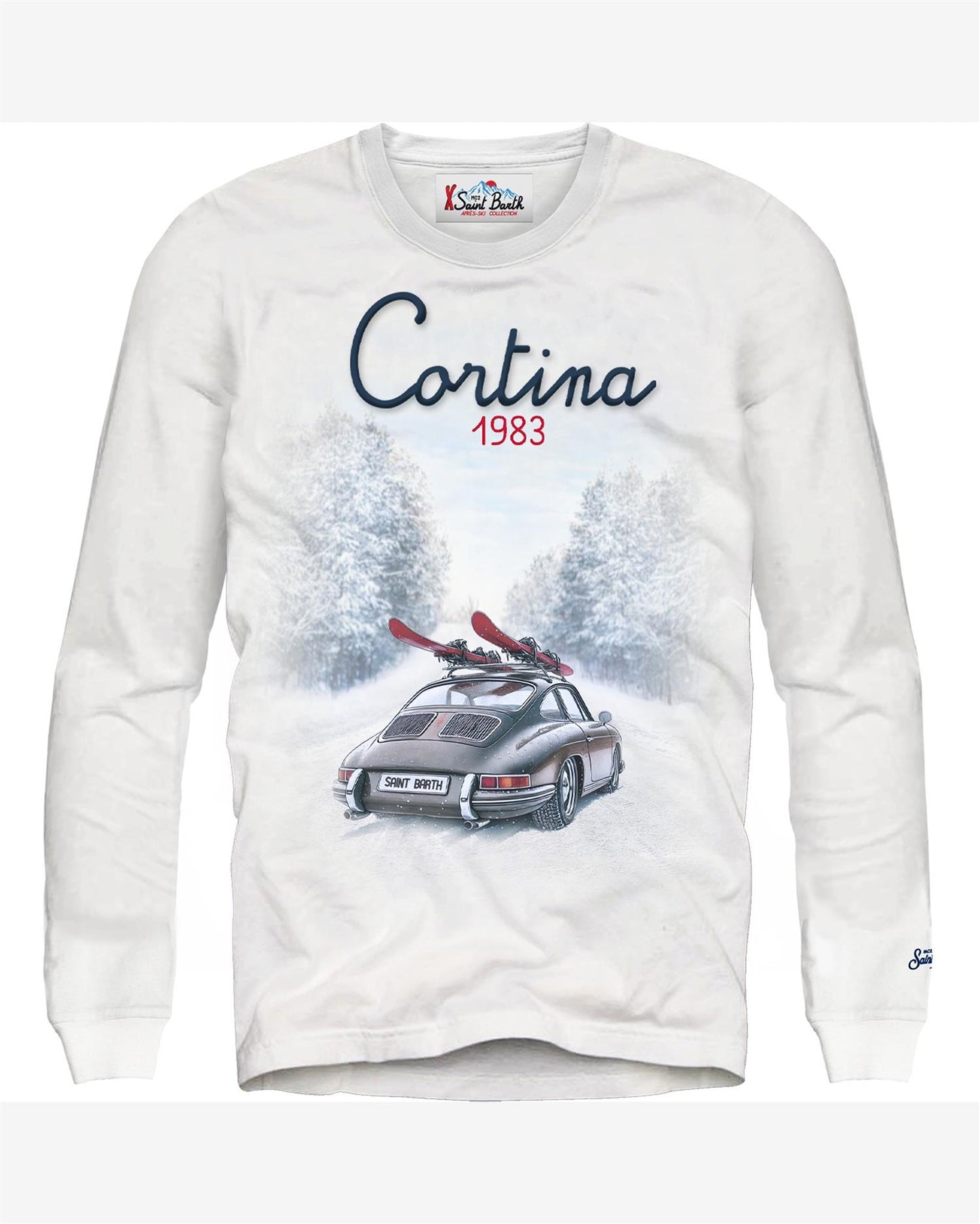CAR WINTER CORTINA