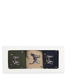 Pointer dog socks gift box