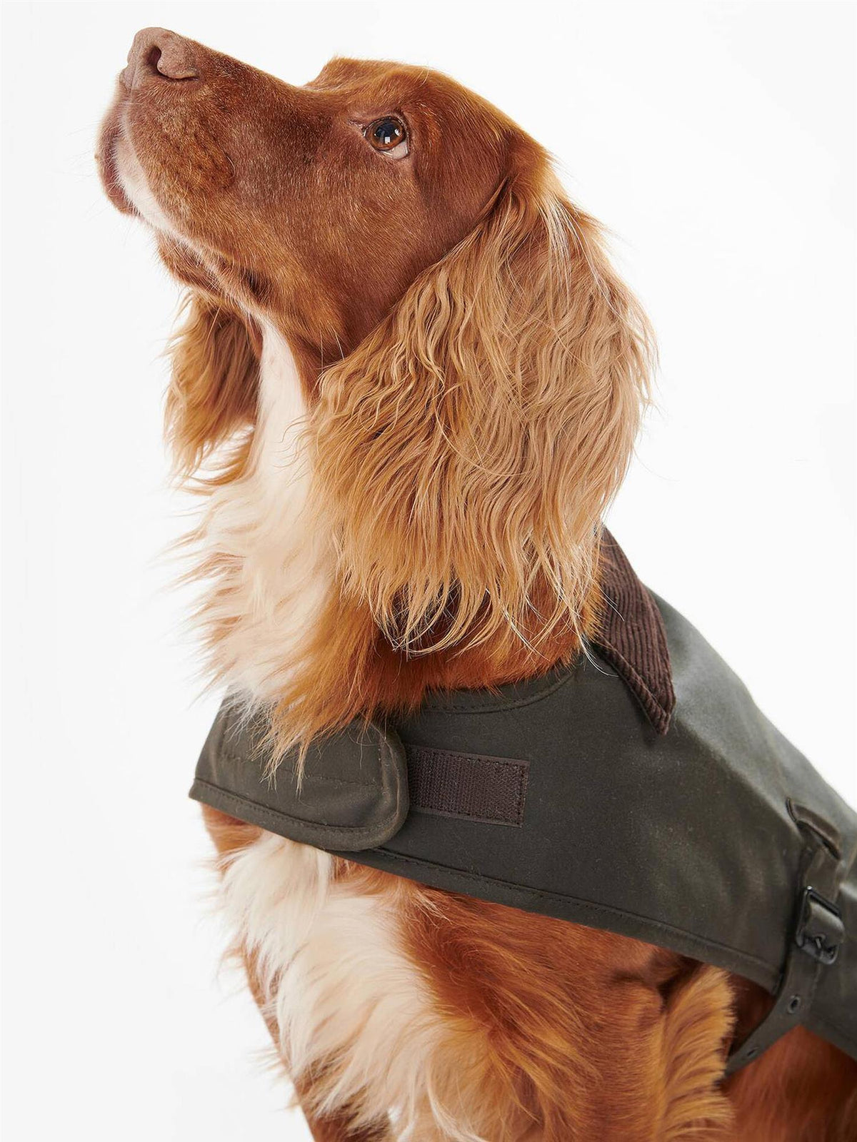 Vokset Hundedekken – Olive