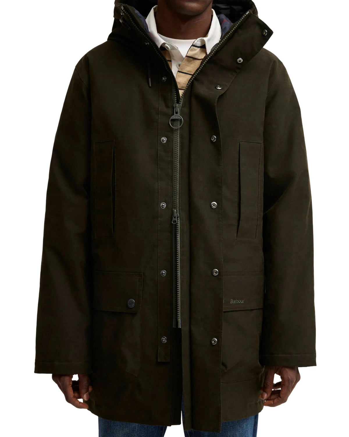Northfield Winter Waterproof Parka – Sage