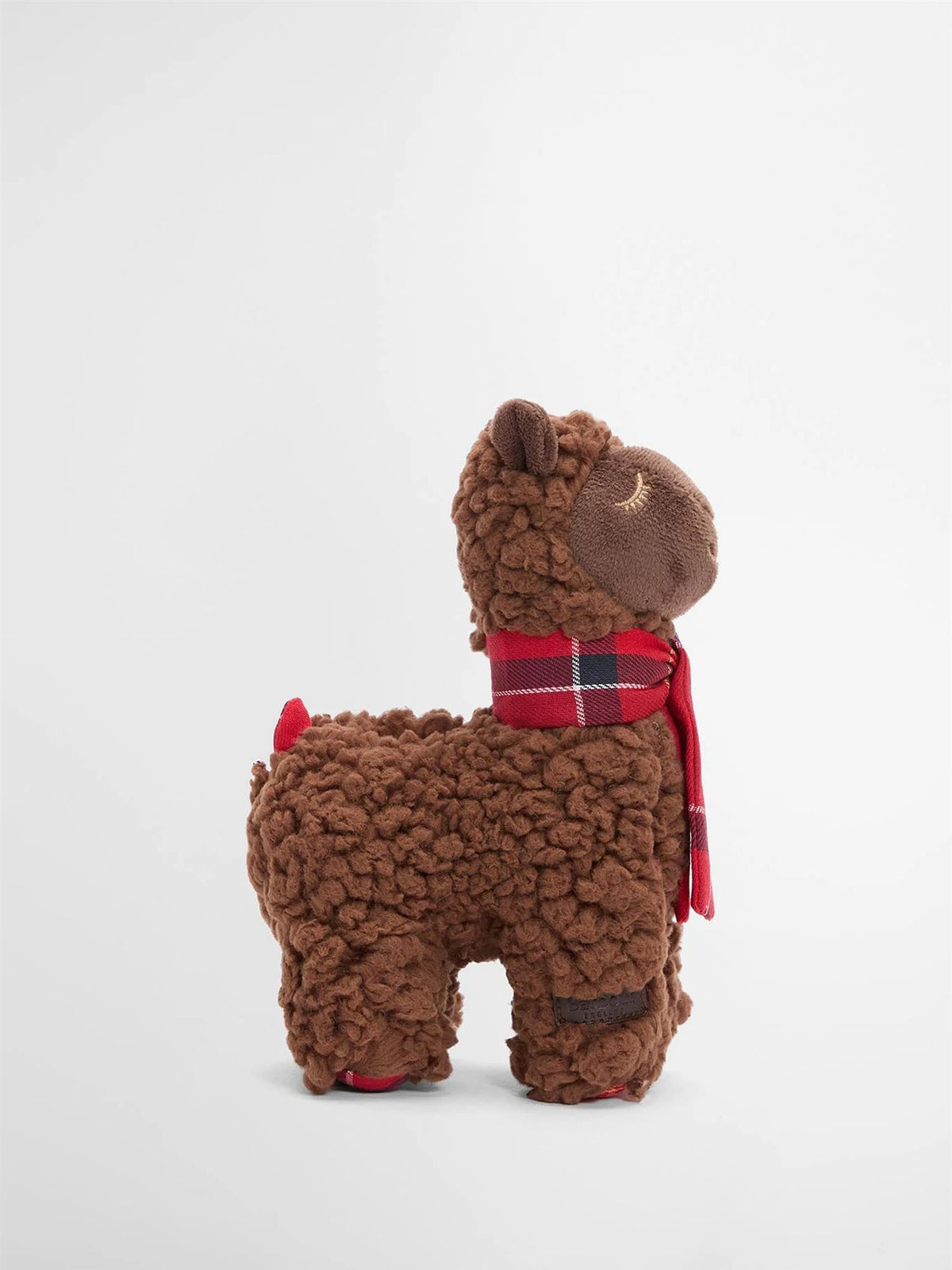 Lama Hundeleke – Brown