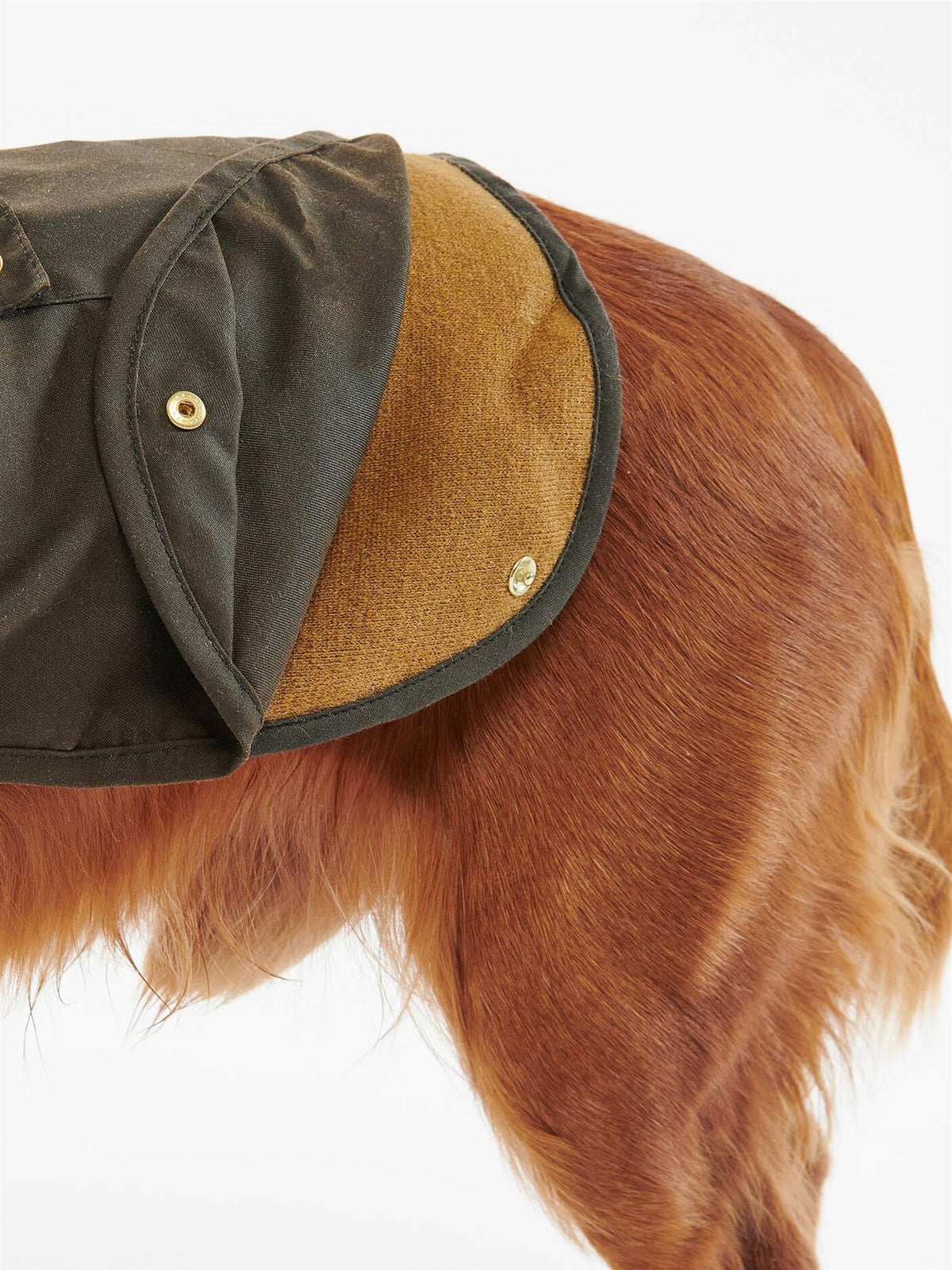 Dog coat 2 in 1 wax