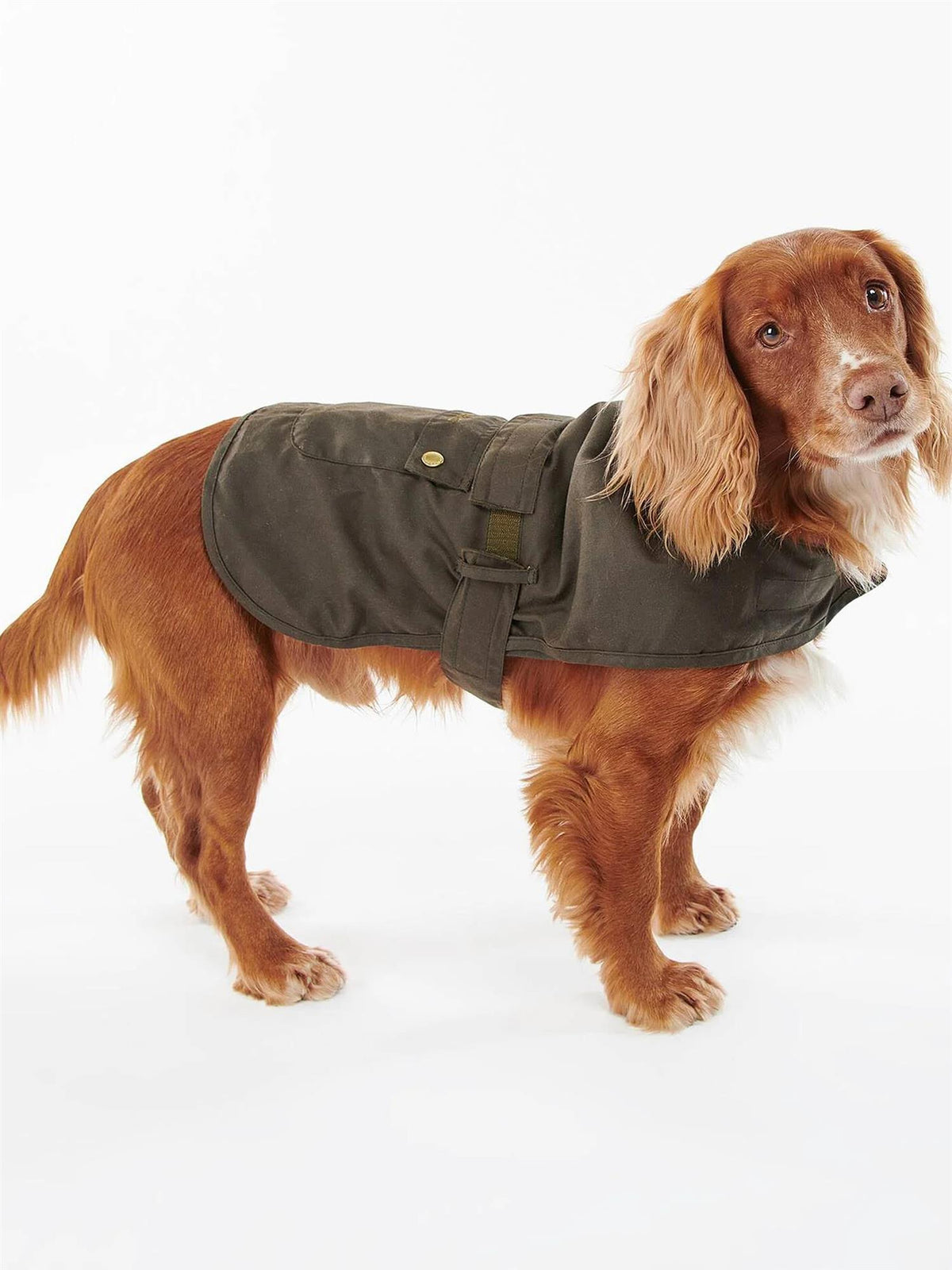 Dog coat 2 in 1 wax