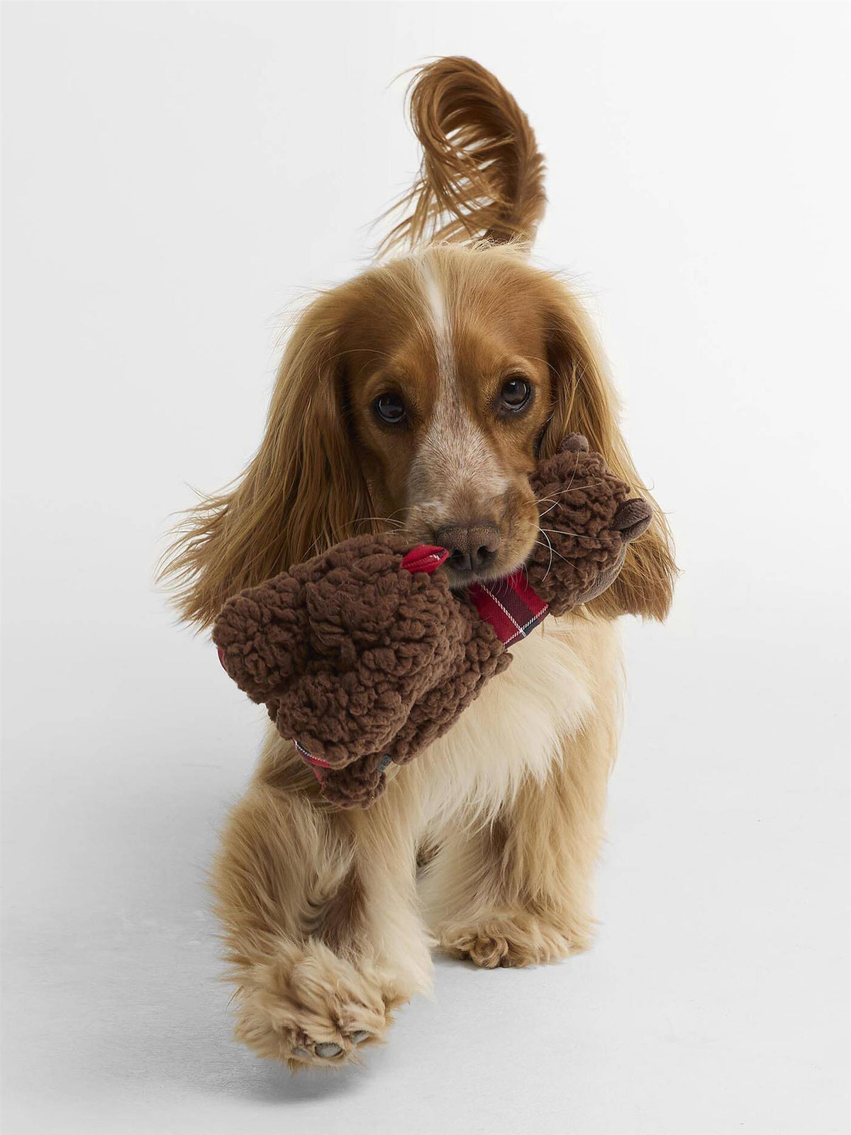 Lama Hundeleke – Brown