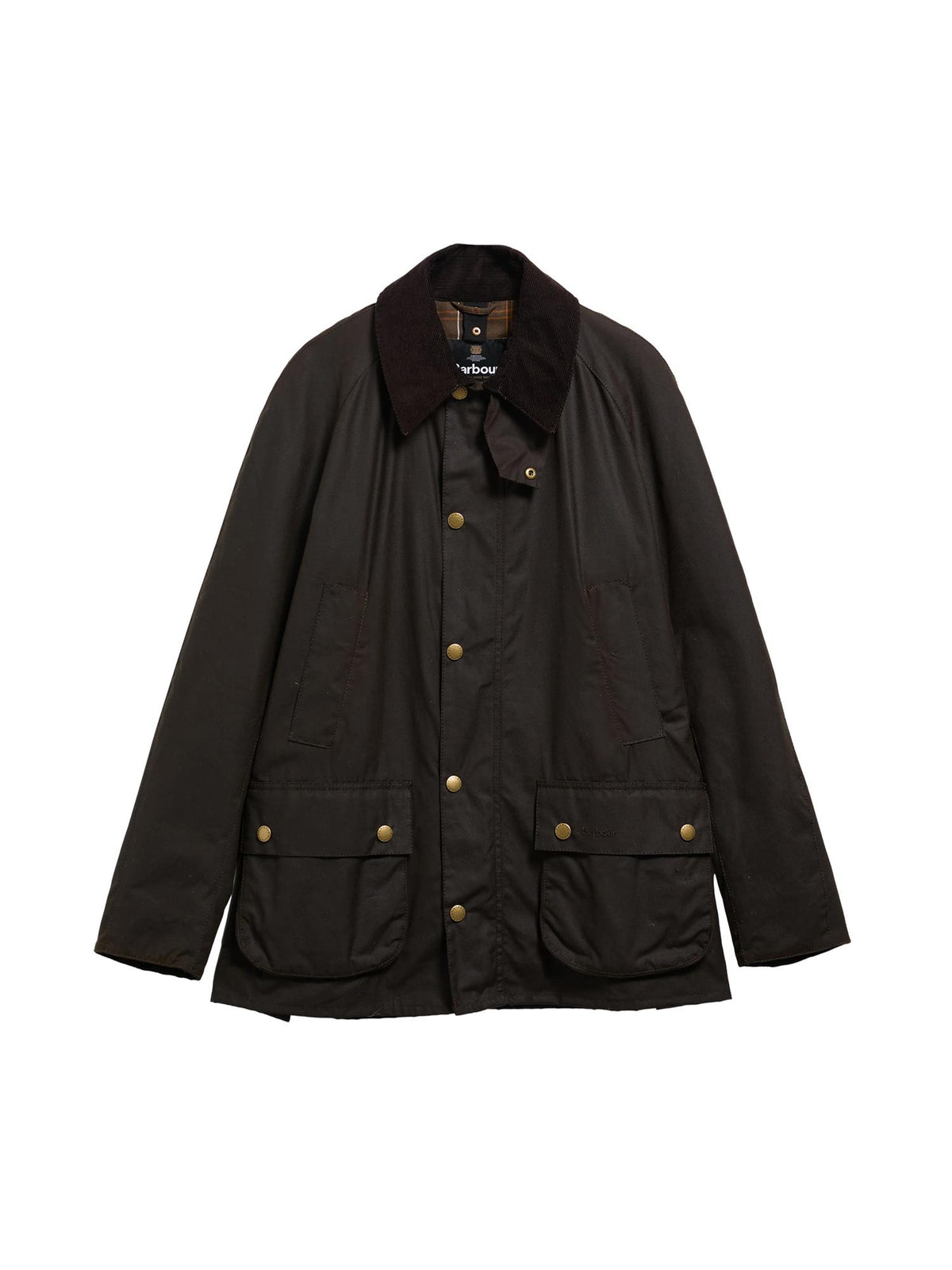 Ashby Voksjakke – Olive