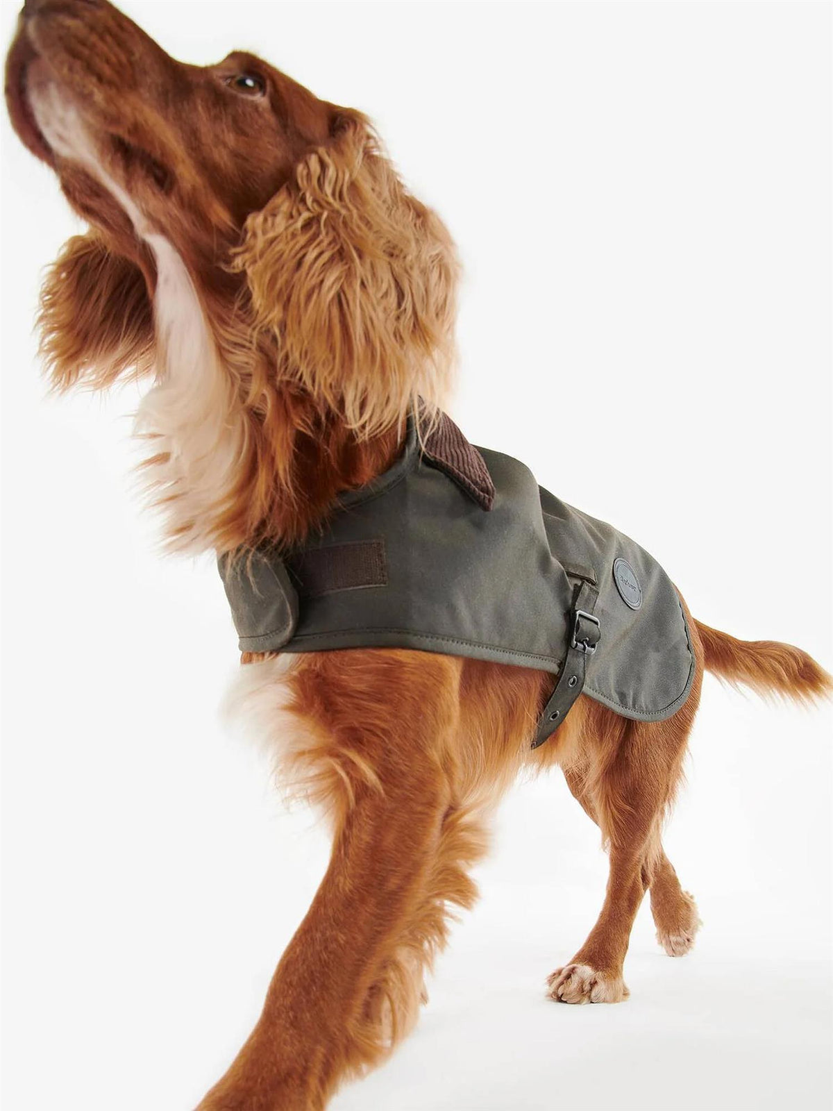 Vokset Hundedekken – Olive