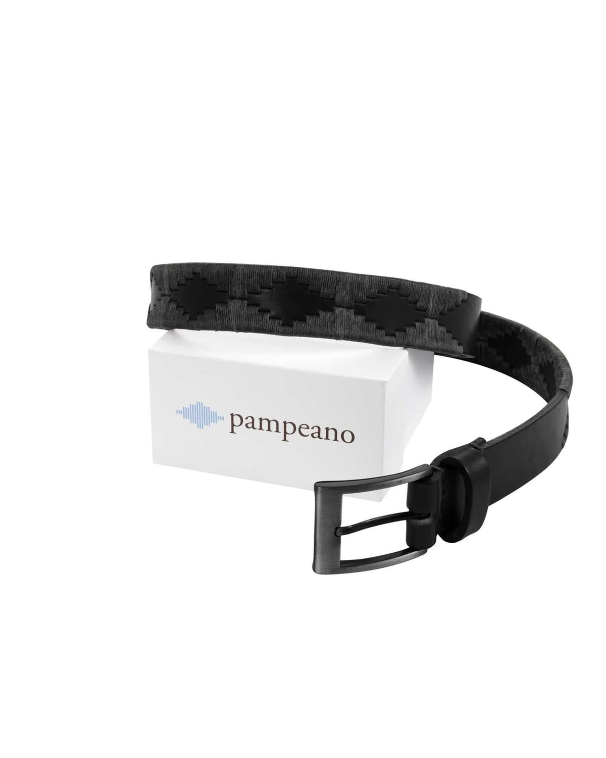 Embroidered Pampa Belt - Black