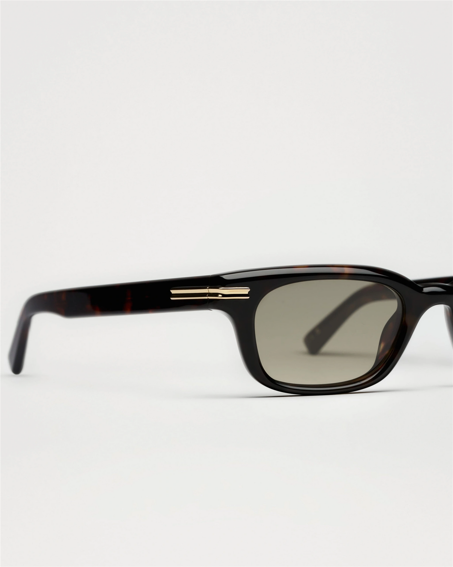 Noct - Deep Tortoise