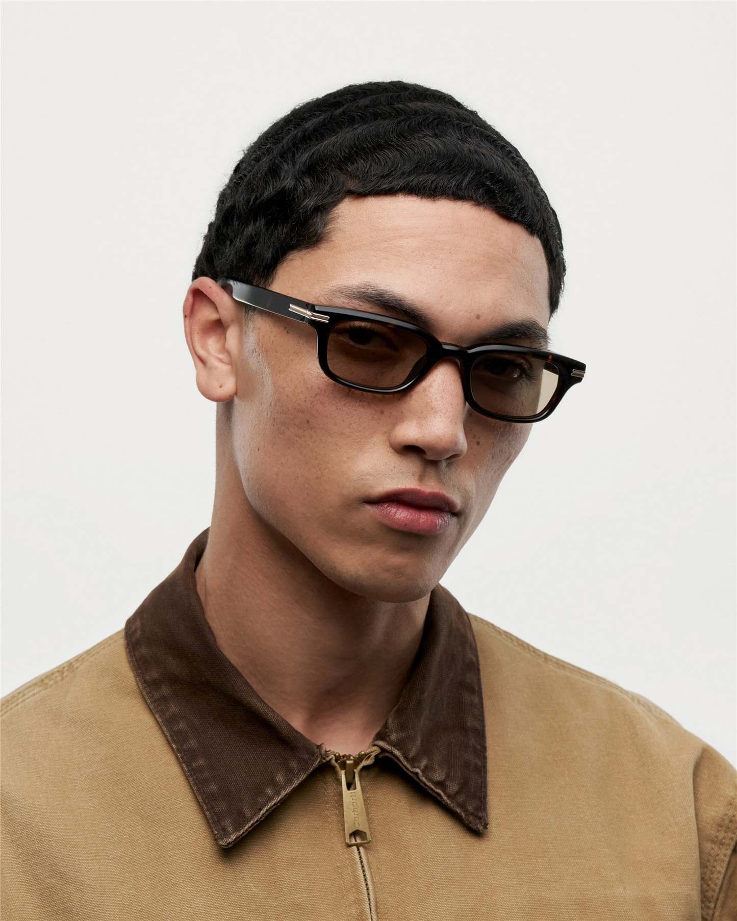 Noct - Deep Tortoise