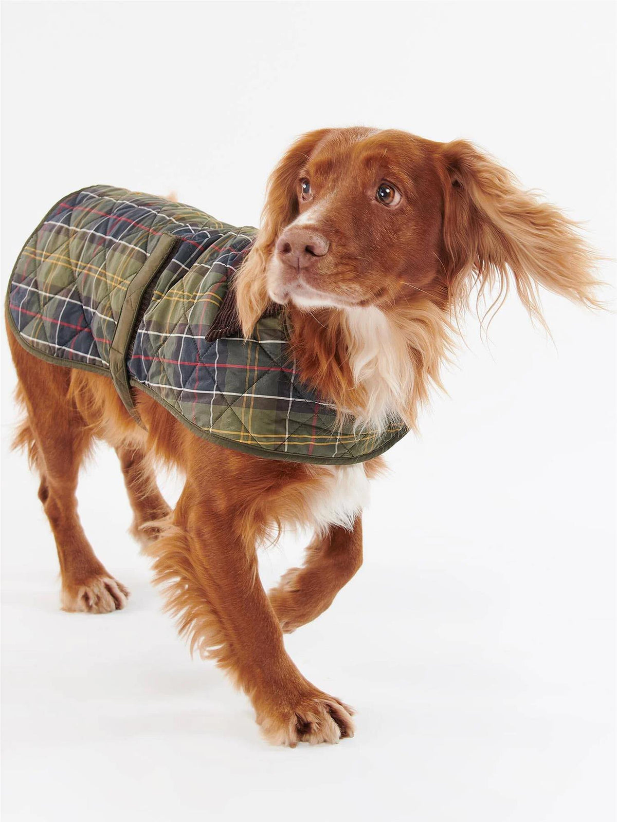 Tartan Hundedekken – Classic