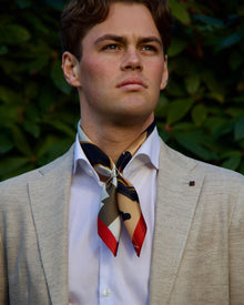 Silke Halstørkle - Grunnloven