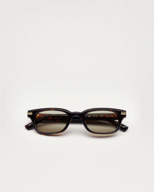 Noct - Deep Tortoise