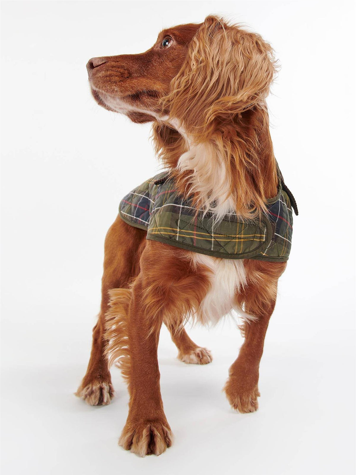 Tartan Hundedekken – Classic