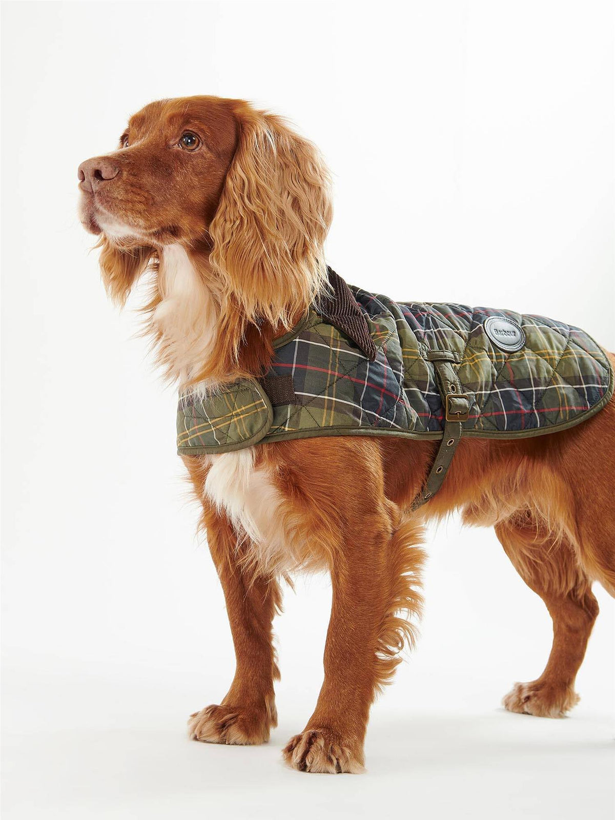 Tartan Hundedekken – Classic