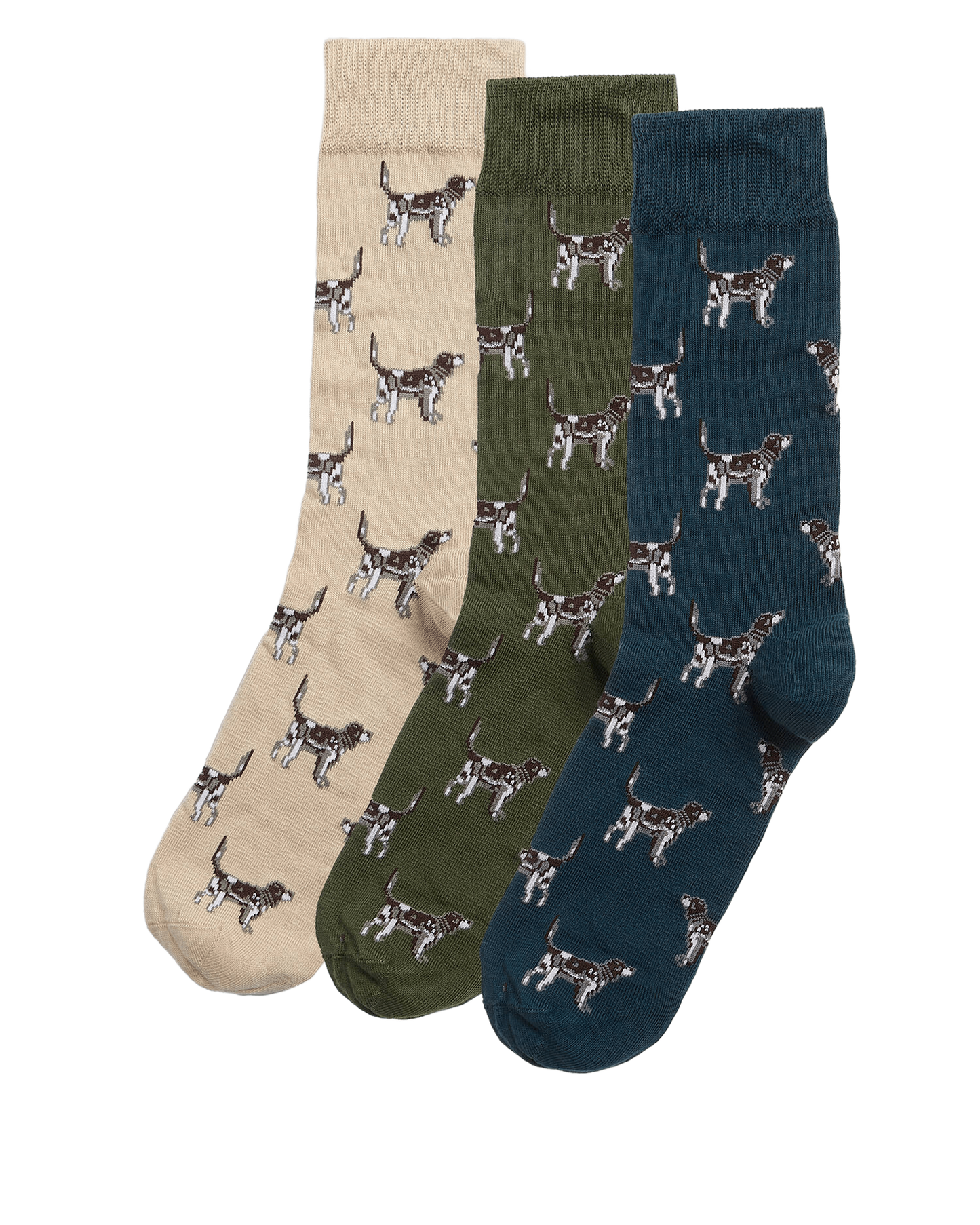Pointer dog socks gift box
