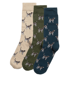 Pointer dog socks gift box