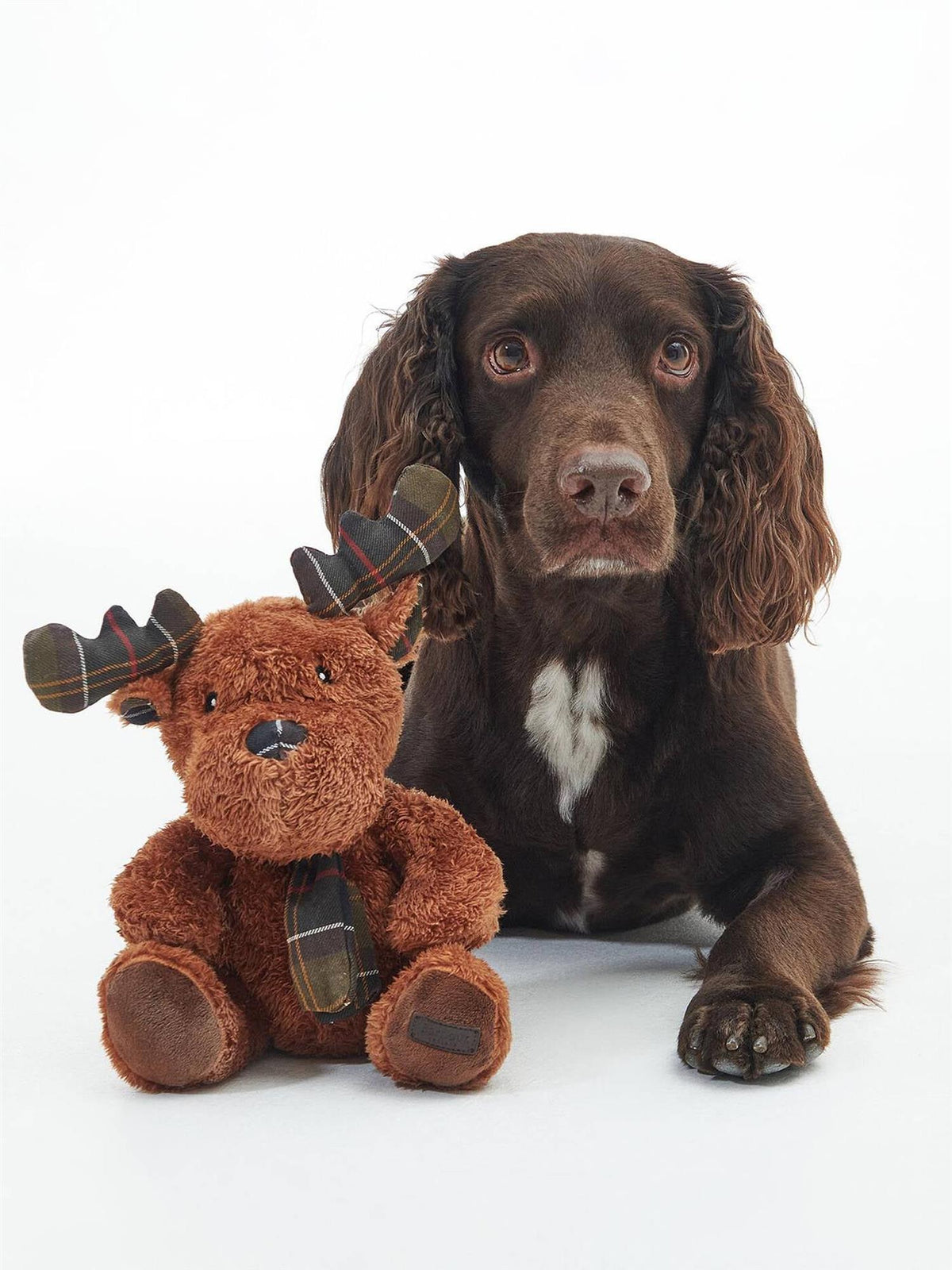 Reinsdyr Hundeleke – Brown-Classic