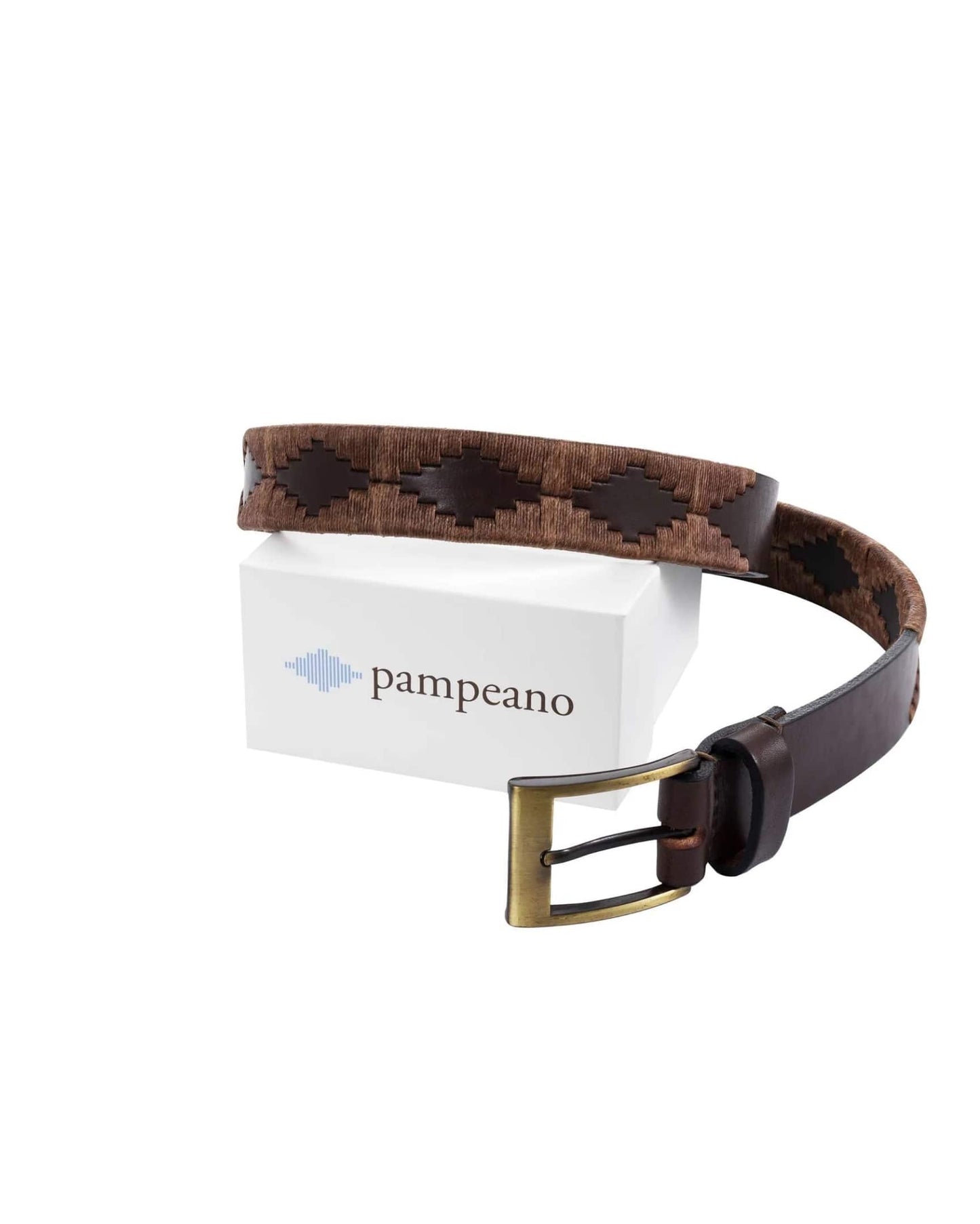 Embroidered Pampeano Belt - Brown